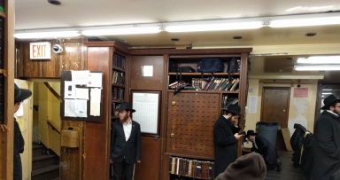 תמונת היום 