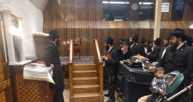 פרשת וירא בבית משיח- גלריה 