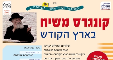 קונגרס משיח בארה"ק