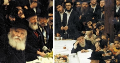 ט"ו בשבט • "התוועדות קודש" משנת תש"מ