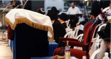 14 שנה לעצרת ההיסטורית של חב"ד ● גלריה מיוחדת