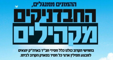 לרגל שנת הקהל - כולם יוצאים למבצעים!