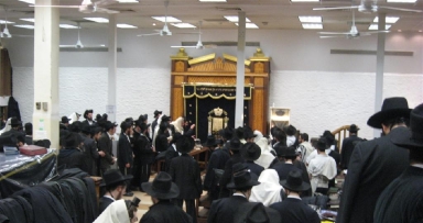 הגלריה השבועית מבית משיח