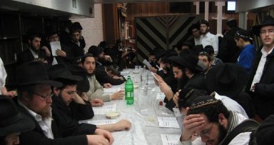 פינת החי לשבוע פרשת תרומה