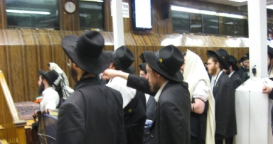 הגלריה השבועית מבית משיח/יומן