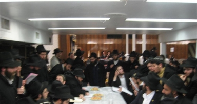 יומן ותמונות מפינת החי השבועית ב770