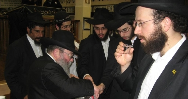 תמונת היום לחיים