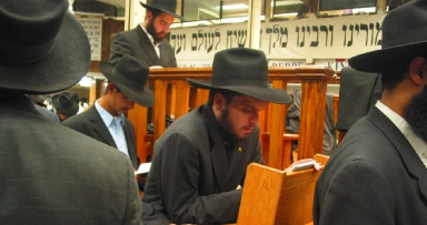 מזל טוב למשפחת פרסיקו