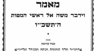 פרסום ראשון: וידבר משה אל ראשי המטות