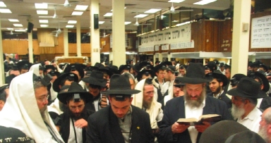 מזל טוב למשפחת חנזין