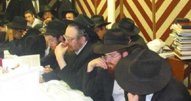פינת החי וקיים!