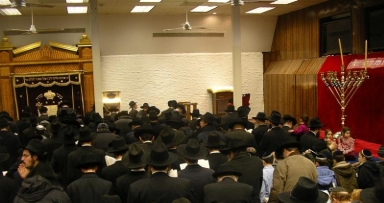 הגלריה השבועית - חנוכה בחצרות קדשינו