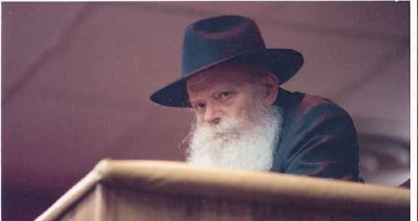 ה'סאטלייט' של חנוכה - תשנ"ג / יומן