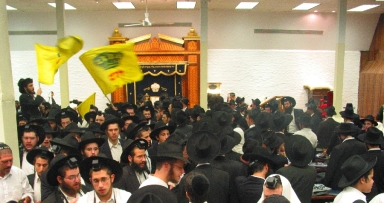 גלריית תמונות א'